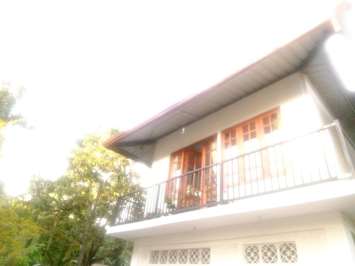 Trinish Homestay هاتون المظهر الخارجي الصورة